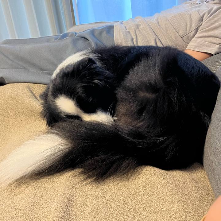 B4ed3e3f 136c 45bc b9c0 3d61acb6f5f3 1759036909350