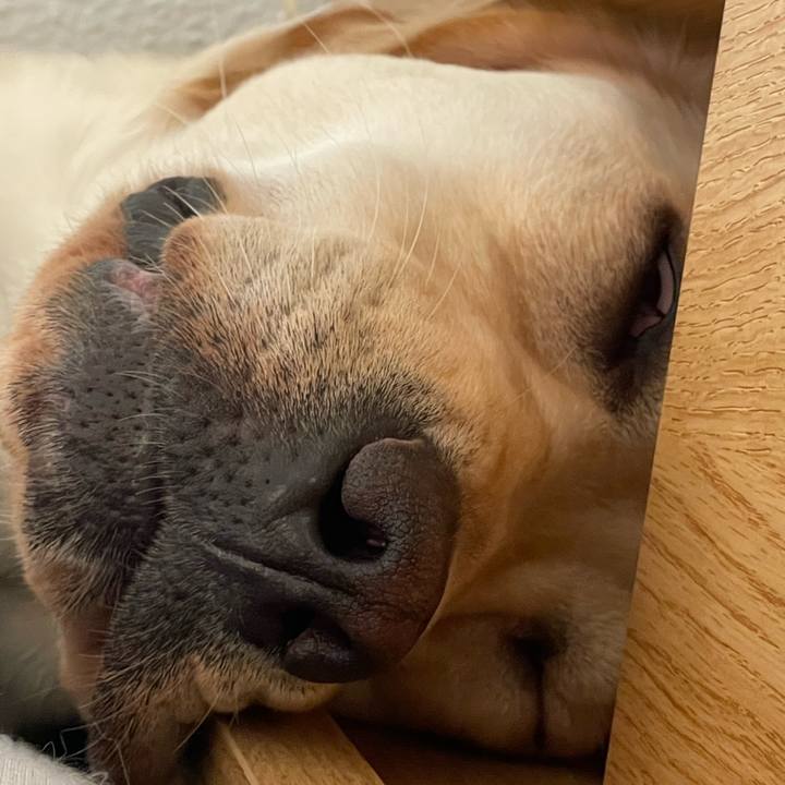 B4ed6427 72fe 4553 b26d e797d84f0aed 1655629569039