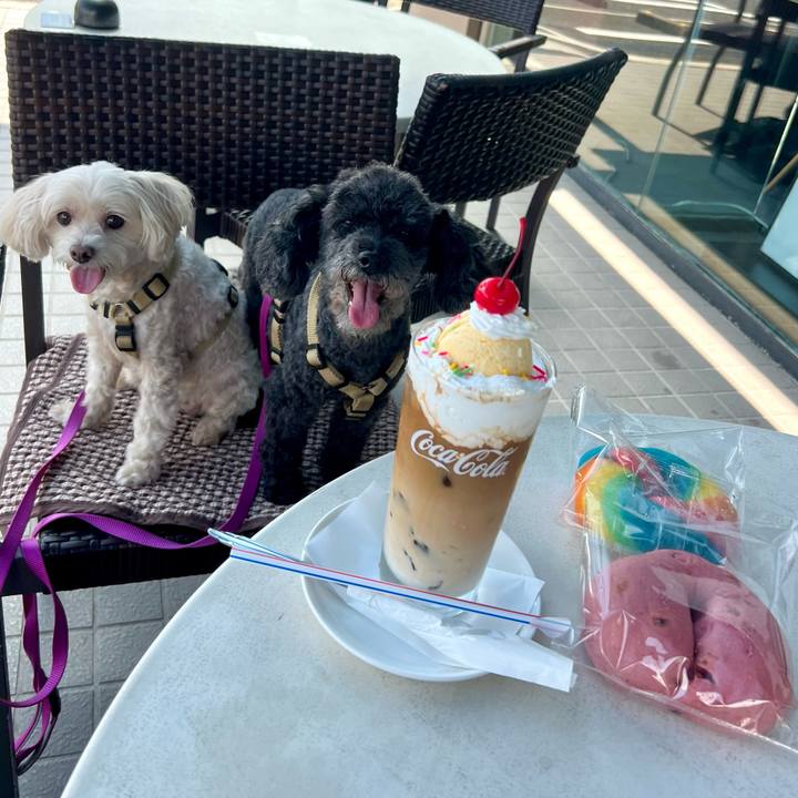 B4ed68d5 61cf 46dc 8f23 ba97abb31061 1757583289945