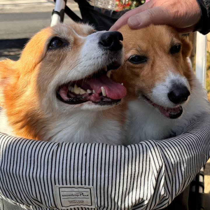 B4edaae7 4e2e 4f30 a065 75b9e3284370 1731121904395