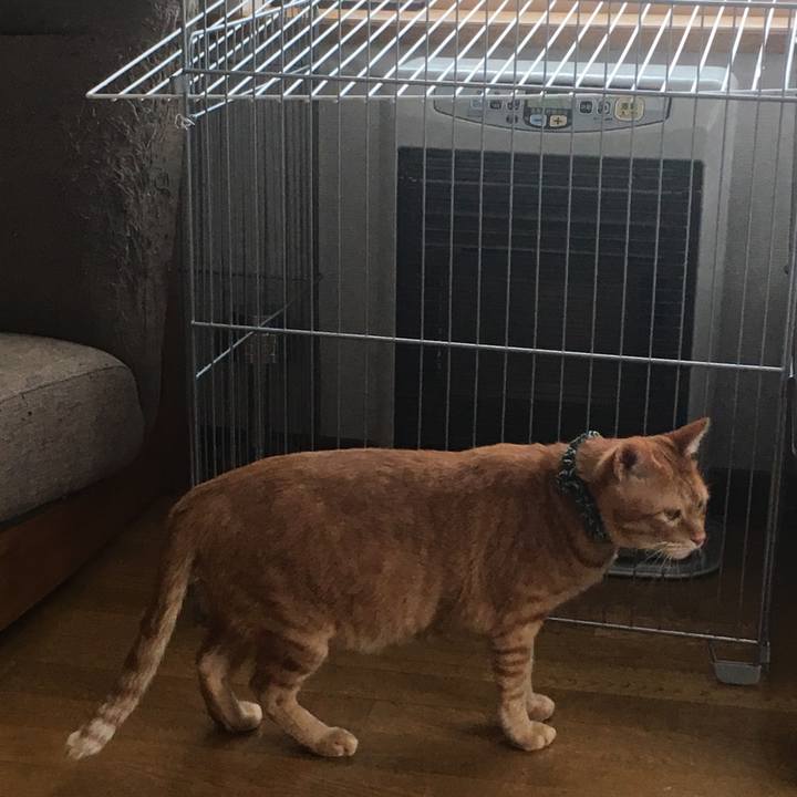 B4edc36c c3d0 48a2 9ee0 01a129d89689 1544938876954