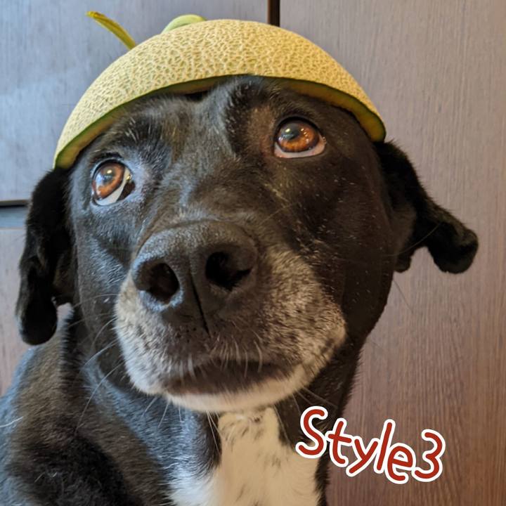 B4edc425 1e89 491f bc34 746d395522ee 1690023348600