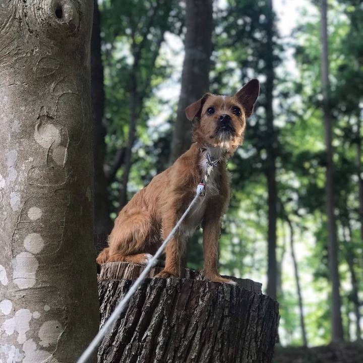 B4edcf33 31a8 434c 914c ee4d6d90a83f 1558523068381