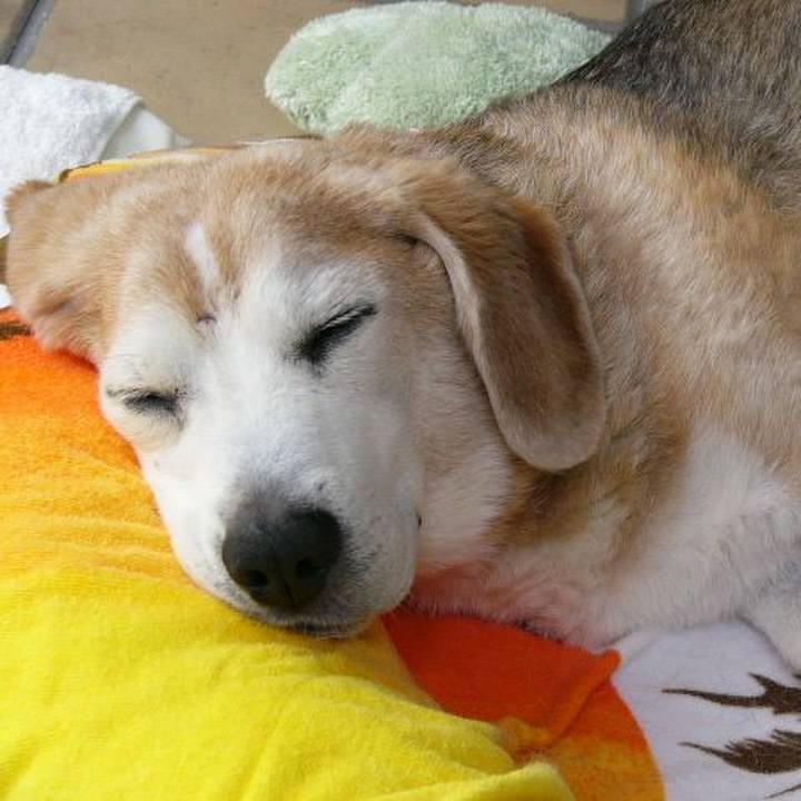 B4ee069f 4b33 4bcf a897 c18c22f714aa 1691021605934