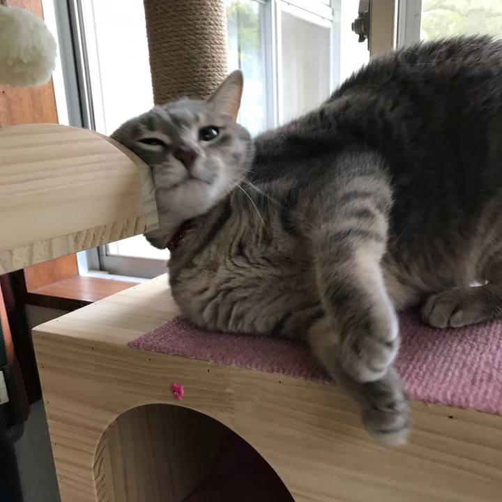 B4ee1ade fc8c 4588 9f7b 35b7a6a0c760 1591017963798