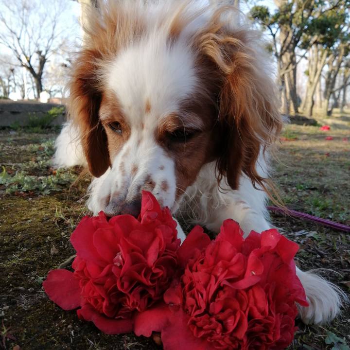 B4ee519a 55e2 4e8b b78d 3820212ed651 1615194610277