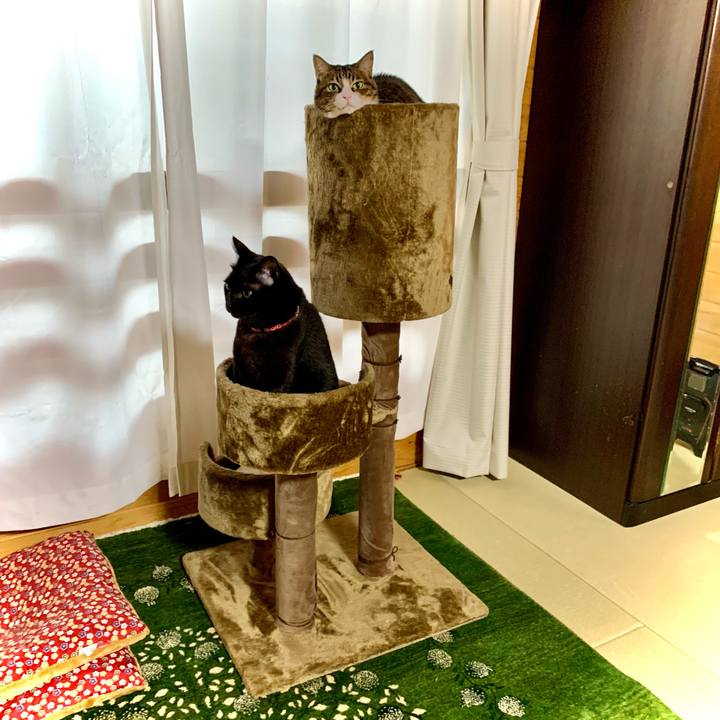 B4ee622a 7b66 40bd 8aa8 2c57e04e531c 1636500641203