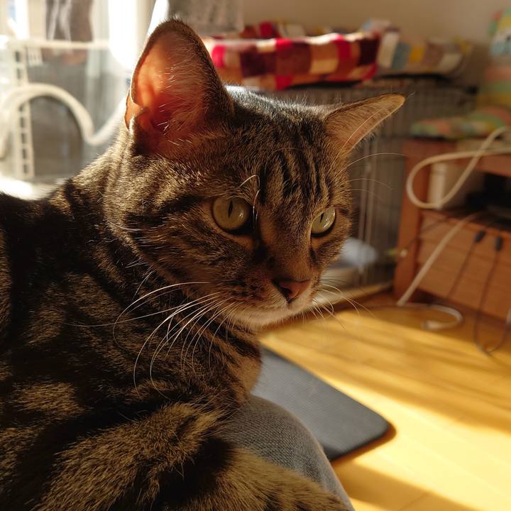 B4ee6de8 4c63 4a7d b648 81b942ffe171 1610342471001