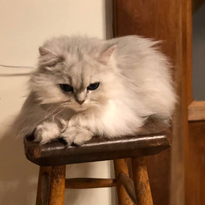 B4ee93fc bd75 4299 852e 28296c775dd5 1555551711397