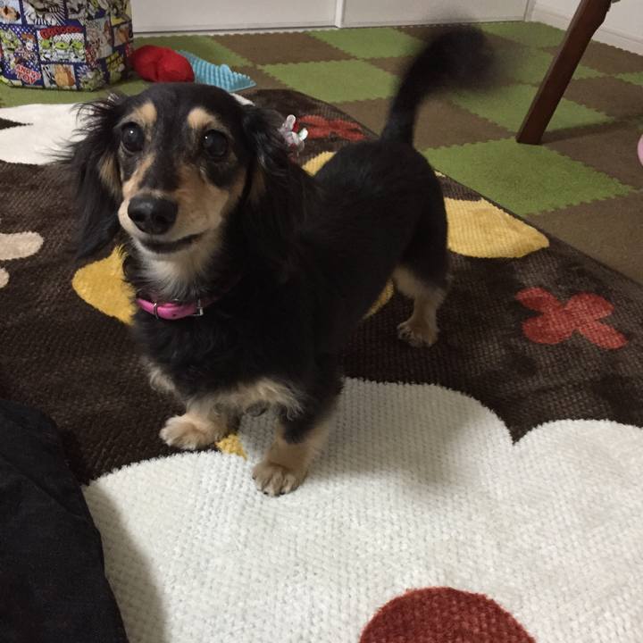 B4ef00ec 089a 46de 9972 b8888fd93ac1 1519040510735