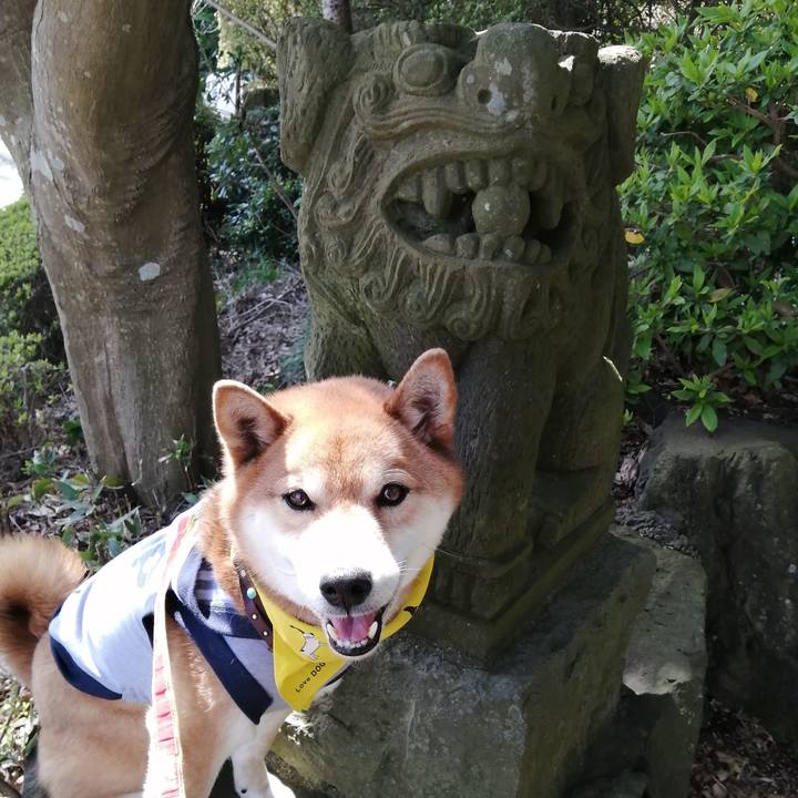 B4ef300d 60c4 4b63 9be0 98357f39ff89 1584807647088