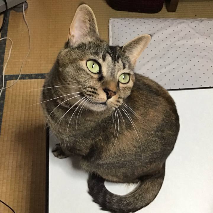 B4ef5368 0304 4727 89db 61df237b04a7 1629536384540