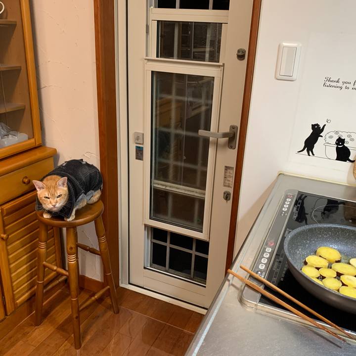 B4ef7089 734a 4cd0 ac52 d885d4eaa773 1652956916194