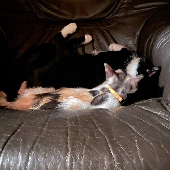 B4ef81cd 3e6d 4d3e 84e3 eb78430be7d7 1658577031207