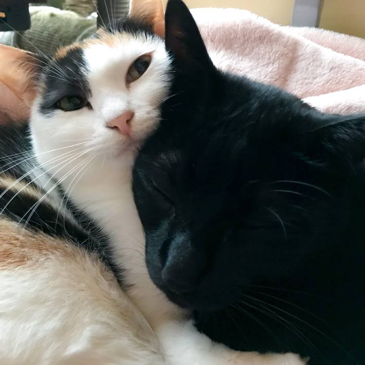 B4efd85b 06d7 42d1 804b 4e15c32f98d8 1513905189777