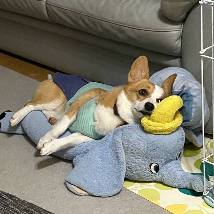 B4efe1ae 955c 4d29 81ad b8207d885714 1758040231692