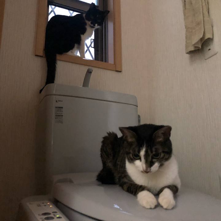 B4f01459 5e6d 4147 a198 5ff14b1f0a9e 1564087719378