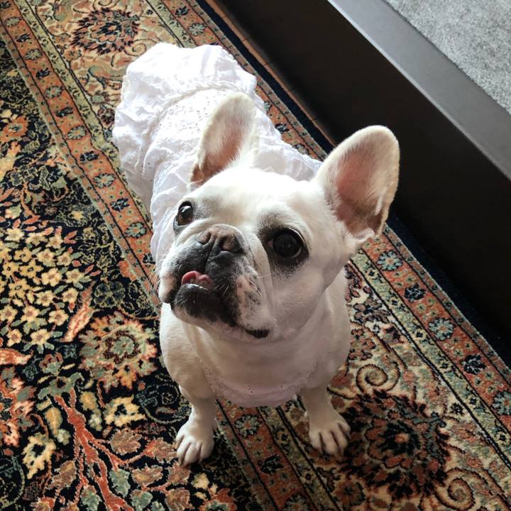 B4f05980 17dd 4978 87fb edda738b7e9d 1589202031936