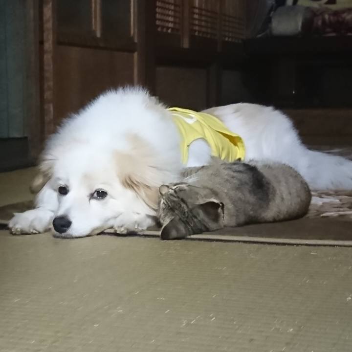 B4f06ce3 bfb0 4cb2 bbe8 3fe9b94e59e6 1560769770877