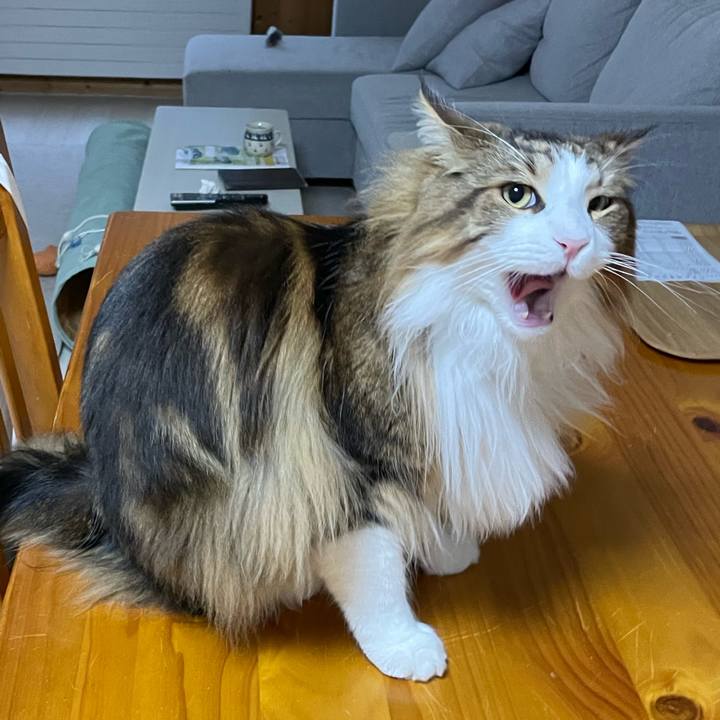 B4f077e1 dd9e 4498 a724 8b808a9ae35d 1684525537549