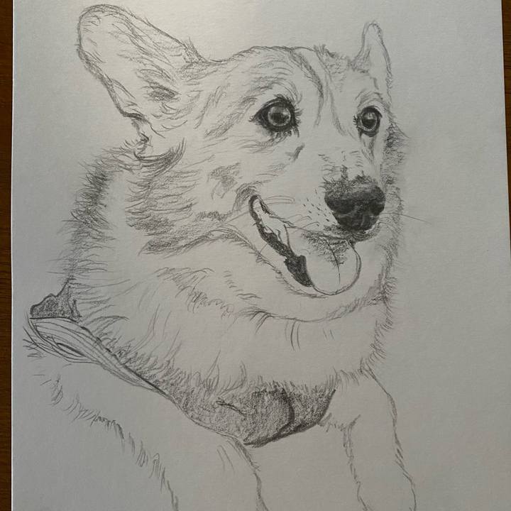 B4f07e56 eb54 4430 9123 22db9ff920fe 1644907199243