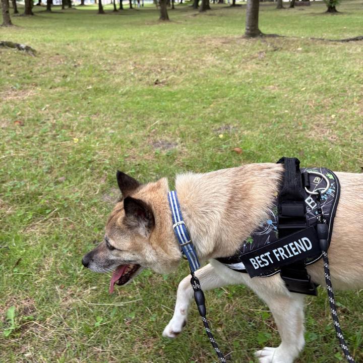 B4f0ab4d 39f4 4a70 b2e6 6f642735eae9 1750595044161