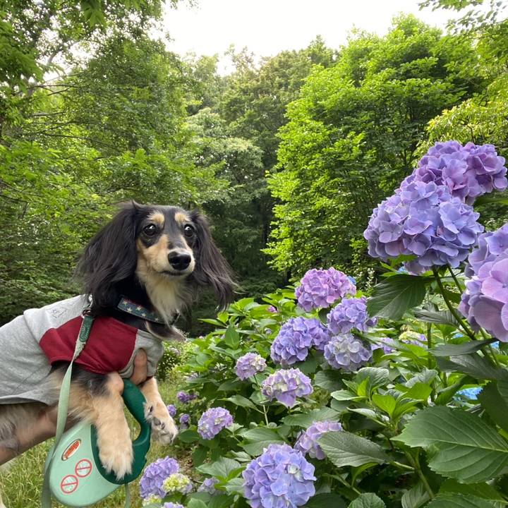 B4f0b89e 5d65 48d6 8f2c 33f33a487bea 1749880853301