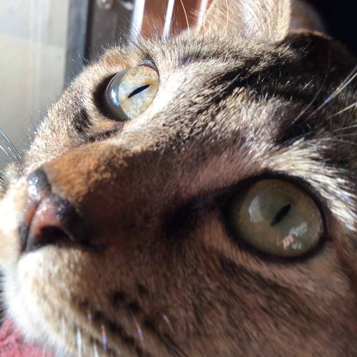 B4f0bef5 ede7 402f a8fe db88aac97053 1584444670968