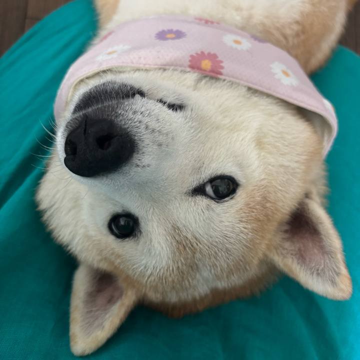 B4f10829 e3bd 4dc0 be9a 1d43c36bca9e 1751833425787