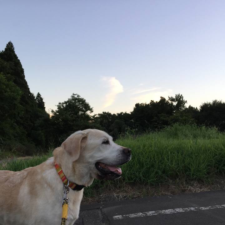 B4f11870 6ed5 4a61 b3b3 9fff60877c33 1533120879051