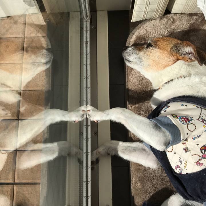 B4f13a23 e384 41fd 9b67 6e973210fa39 1583452387925