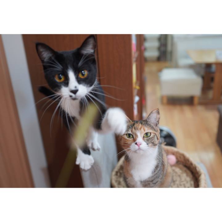 B4f15a13 f037 4214 bd6b 11c599e80422 1601251090226