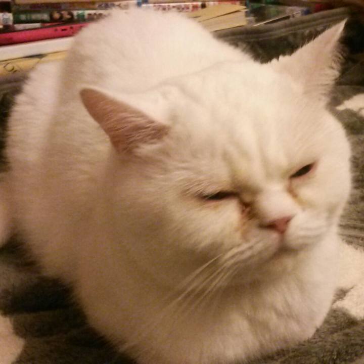 B4f19aca cfe7 4086 b002 50b4ead7dd72 1514149113492