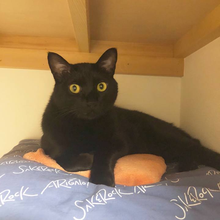 B4f1a2bf 6010 47ab af90 2c2275f570bd 1541414766262