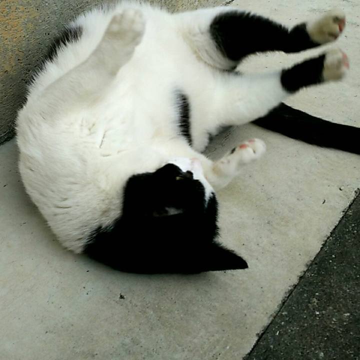 B4f1ae41 043a 4dfe 90b5 71c0bcc770b7 1527067422028