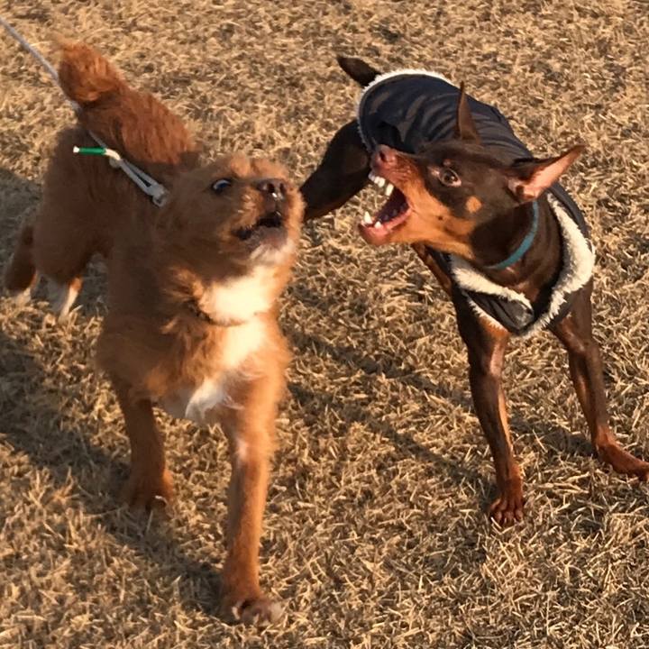 B4f1e430 0582 464f aa5c d43c1babe55c 1586651023893