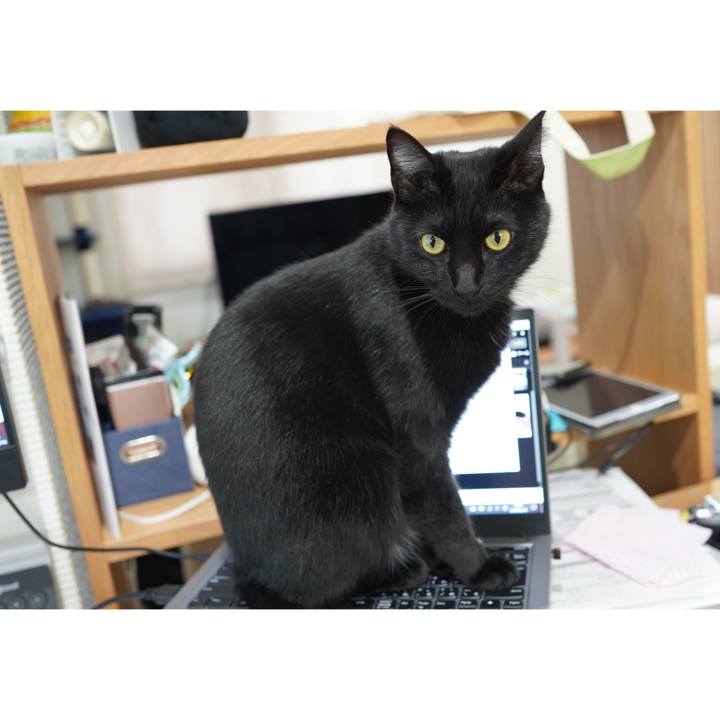 B4f1e62d f7eb 46c9 855b 9c983471fe82 1602596768301