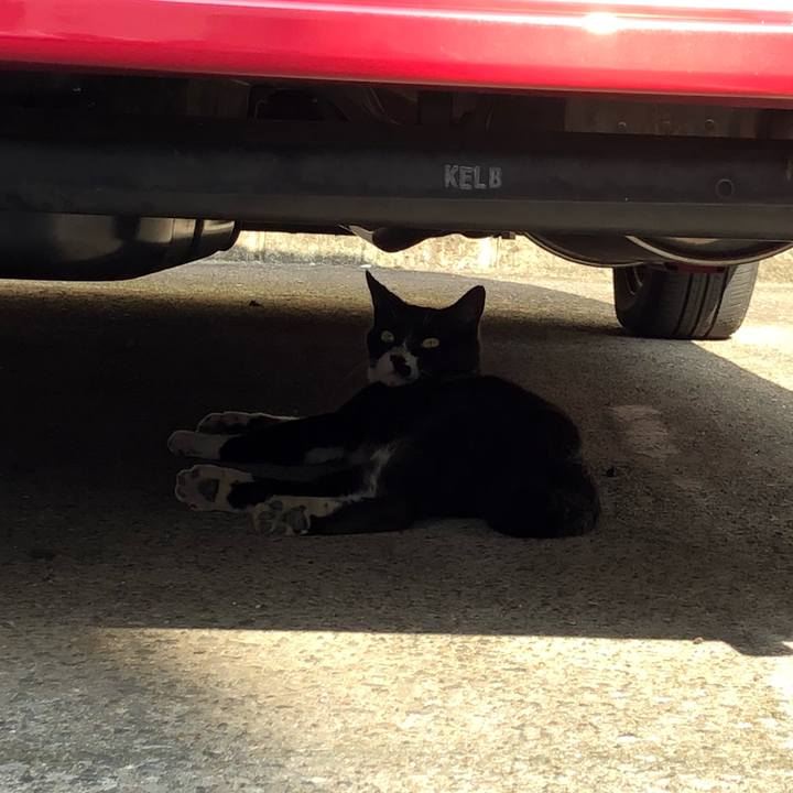 B4f1f66b 85db 4421 a8d9 36170fd6af38 1531470455781