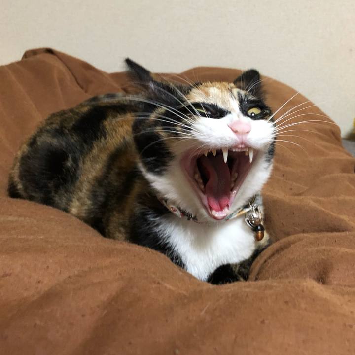 B4f2a572 709b 4c37 b963 5264c27783c2 1562847940862