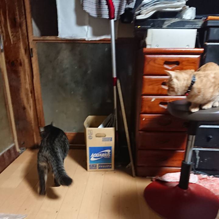 B4f2dd4c cf03 451b bc6c e4aa5b5a0d1b 1635281535476