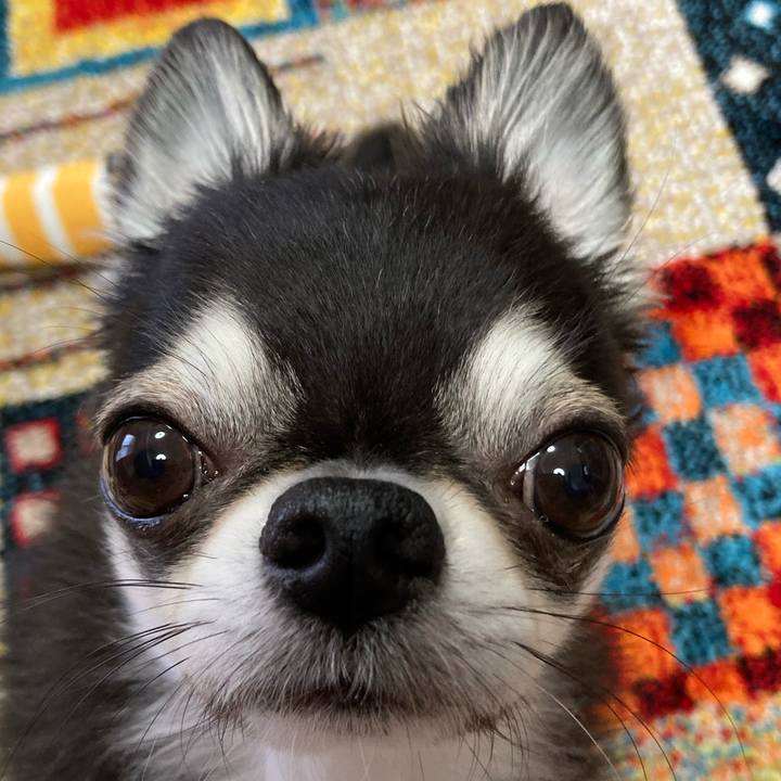 B4f30c7f b052 4bed b7c9 a118a8359ab6 1684536579887