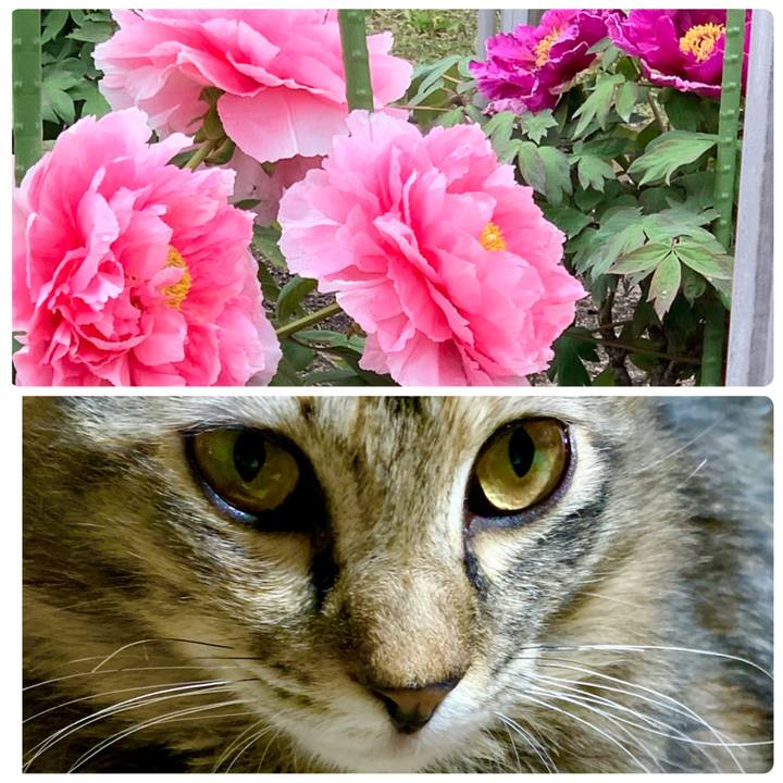 B4f33b92 be84 45e9 aab5 ef0f6337e019 1649762315150