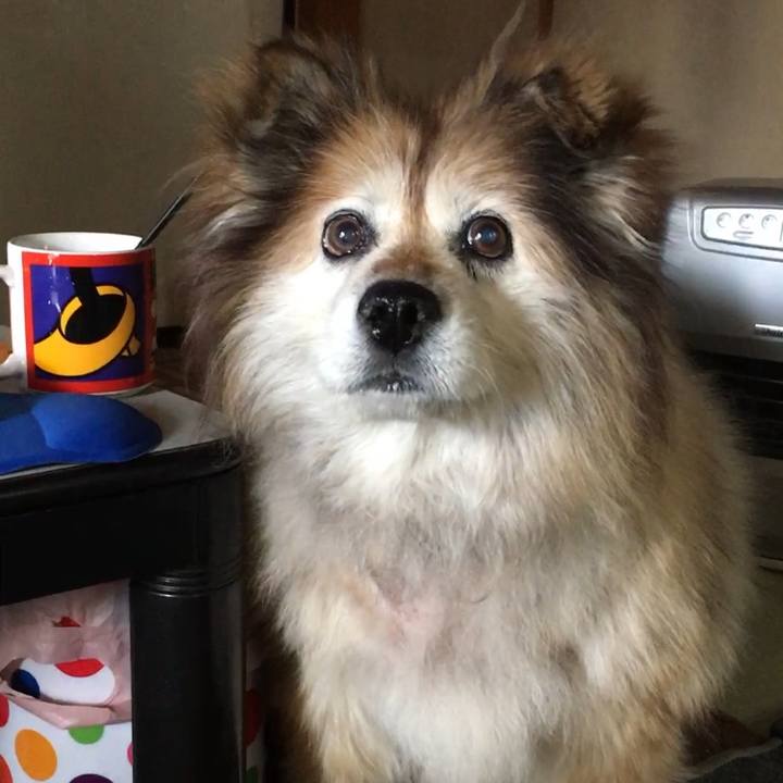 B4f3535a 4009 47e2 b60e 1ec4de3d92db 1551130618556