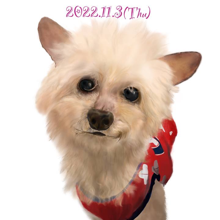 B4f3550c 3463 45bc a167 943835264940 1667483477479