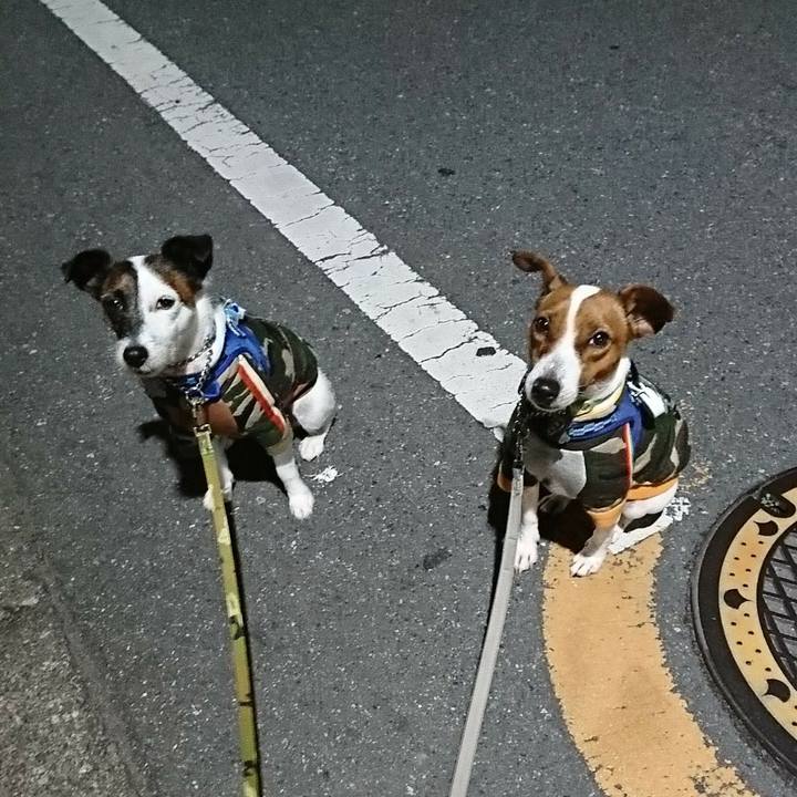 B4f35997 64b5 4cd4 b0f8 89e14991f43f 1575200684492