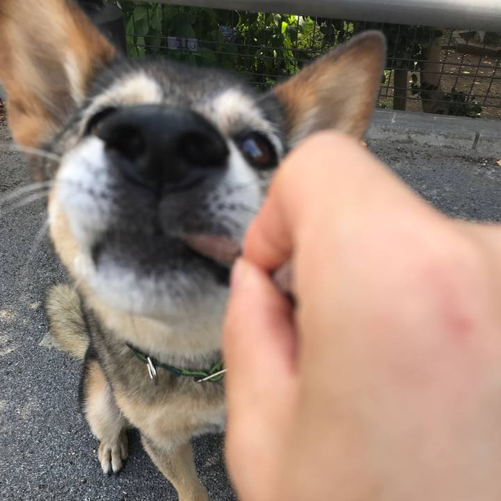 B4f36d6c 417e 446c ac33 4e2033560ad2 1532666578737