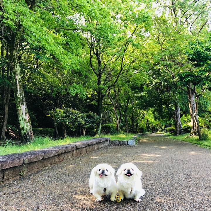 B4f370ad e247 4c18 8631 a8ccf4dbd235 1620264112359