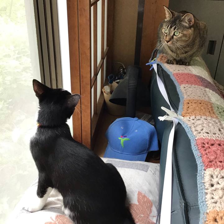 B4f37601 835b 45a4 81d2 0a09fa23f7dd 1628915820720