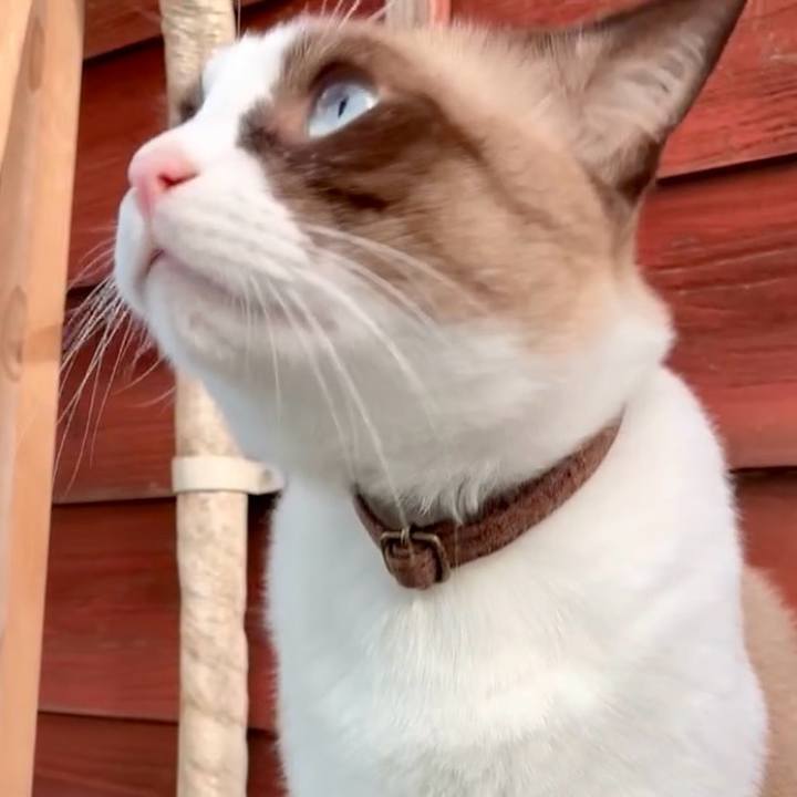 B4f3912d 2e80 470c aa2b a2c07bfc933d 1761531819710