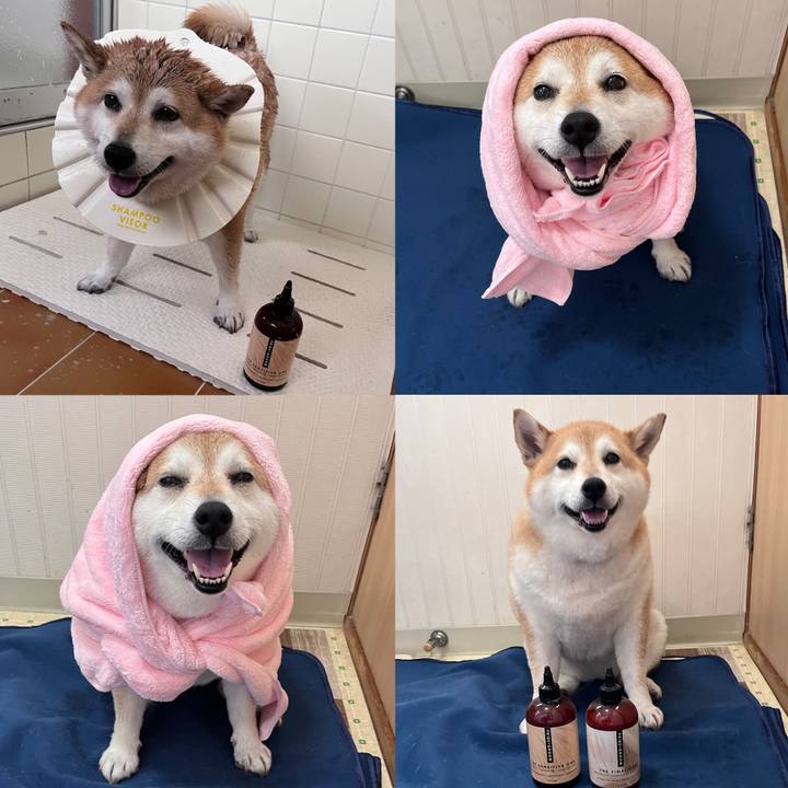 B4f39b89 6359 45b0 9499 fed04181bed3 1685073633214